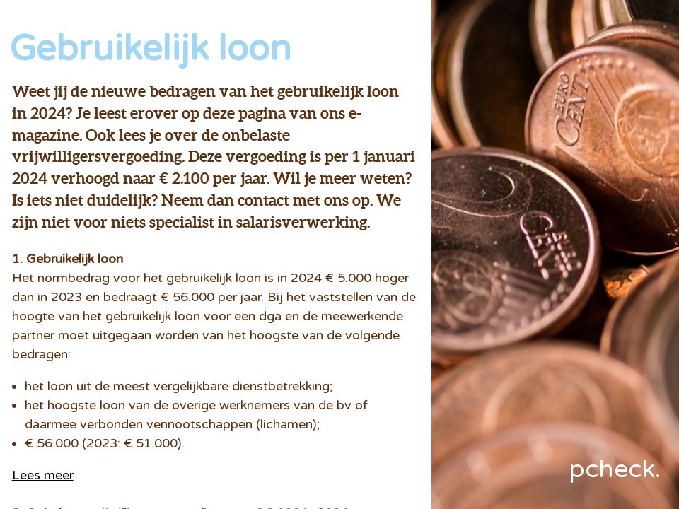 Pagina 3 | Gebruikelijk loon - Special Lonen 2024